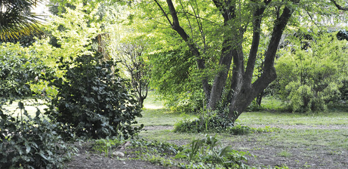 3_parco
