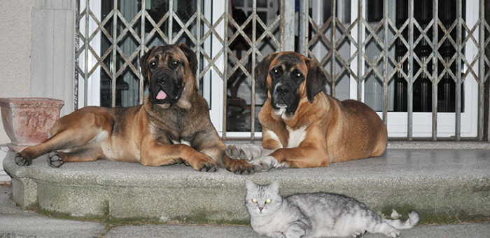 security